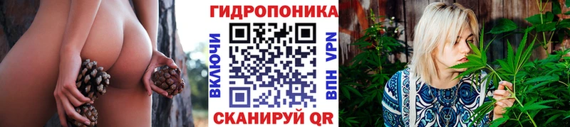 Бошки марихуана конопля  MEGA ссылка  Спас-Деменск  где найти  